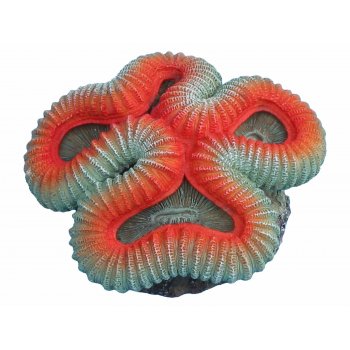 HAQUOSS WELSOPHYLLIA - 12x11,56h cm